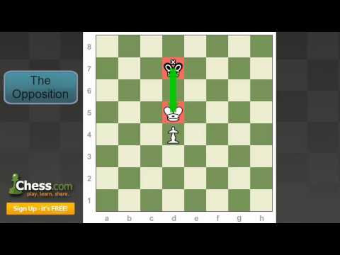chess tactics chess tactics