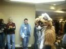 Further Confusion 2008 Fursuit Parade Part 2 of 2 Further Confusion 2008 Fursuit Parade Part 2 of 2