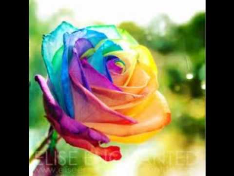 Over The Rainbow Hawaiian version!