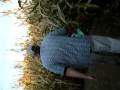 Roba's Corn Maze Part 7 of 8