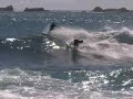 I Just Wanna Surf Man
