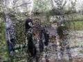 Funny Funny.wmv