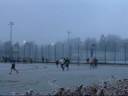 Reindeer_run.wmv