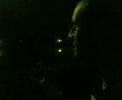 Ranocchi