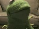 kermit talks wrestling