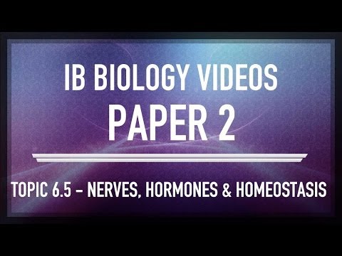 how to pass ib physics sl exam