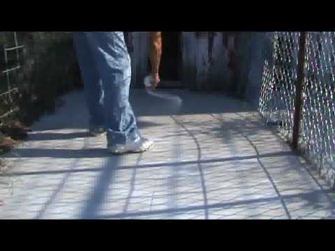 how to eliminate kennel odor
