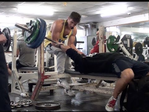 Killed - LoA MERCHANDISE: https://legendsofaesthetics.myshopify.com GYM SHARK CLOTHING (promo code