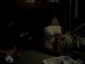 videos de tea bag2