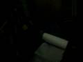 videos de Bailey pt 1 10122008