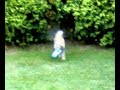 mi-perrina-1.html