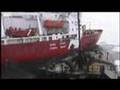 Sea Shepherd - Farley Mowat Rammed - 2008 Seal Defense