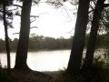 IL REGNO DEL CARPISTA