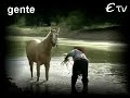 NEGRO PALMA - MI CAVALLO BAYO  Etv Gente