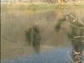 Rising Fish and Strike