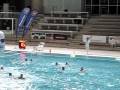 videos de Water Polo  :  France - Pologne     LEN TROPHY