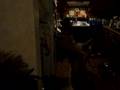 Bullmastiff video