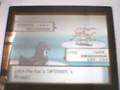 PKMN Diamante:Alto Mando/Elite Four Fausto/Flint (1/2)