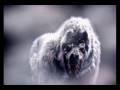 videos de ThePreacher84040 Story Time - The Life and Times of Jesus