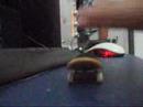 NOLLIE!!!!