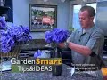 Wayside Gardens Gardening Tips - Plants to Bring Inside