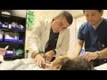 CNN Explains: Health care reform