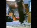 [ セイテキシャッフラの二人 ] Shuffle ♥1