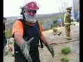 Bomberos Comodoro Rivadavia - Incendio de arboleda y pasto. Bomberos Comodoro Rivadavia - Incendio de arboleda y pasto.
