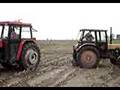 Ursus C-360-3P(perk) vs. Massey Ferguson 168 (dziadzia)