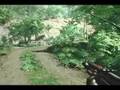 CRYSIS