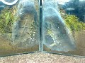 House Cleaning Before Egg Sac.