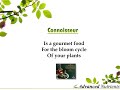 Hydroponics Gardening Hydroponics Gardening