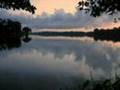 Euphonic Sunrise