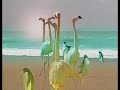 Calippo - Refresca tu punto de vista - 310k