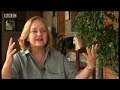 Sariska tiger extinction scandal - Battle to save the tiger - BBC wildlife & animals Sariska tiger extinction scandal - Battle to save the tiger - BBC wildlife & animals