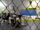 Chiefs Roller Hockey Fight