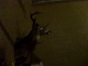Big Horn\ Big Horn\