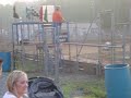 Sidewinders final restart at Lanco Sidewinders final restart at Lanco