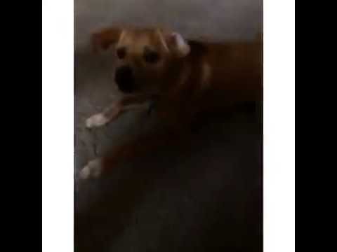 how to fit whole video on instagram