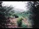Moroccan Adventures: Ourika Valley