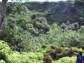 videos de Zipline in Kauai