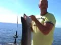 nio kilos �ring i v�nern trolling