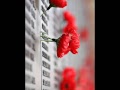 BATTLE OF BRITAIN...SPITFIRE TRIBUTE AND POLISH FIGHTER SQUADRONS REMEMBERENCE DAY PT 1