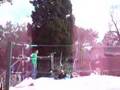 LBW Buster Razor Black vs Johnny Buck