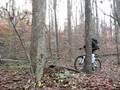 videos de Northwood Session 1 -- Teater Totter at Northwood