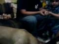 videos de peleando con la chata