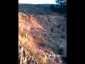 Mi película (2)