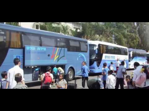 צפה בסרטון צפה בסרטון