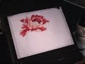 Hot-red Peony - a Chinese Painting Tutorial Hot-red Peony - a Chinese Painting Tutorial