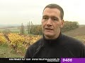 Toulouse : Le Beaujolais boudé au profit du Gaillac Primeur